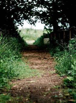 Stilteretraite | i.s.m. Call - Centre for authentic leadership and learning